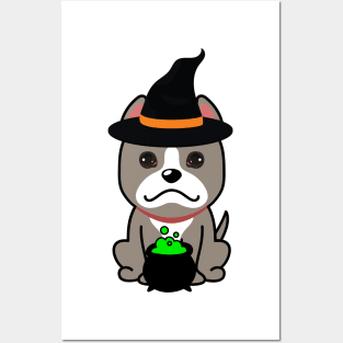 Cute grey dog is a witch Posters and Art